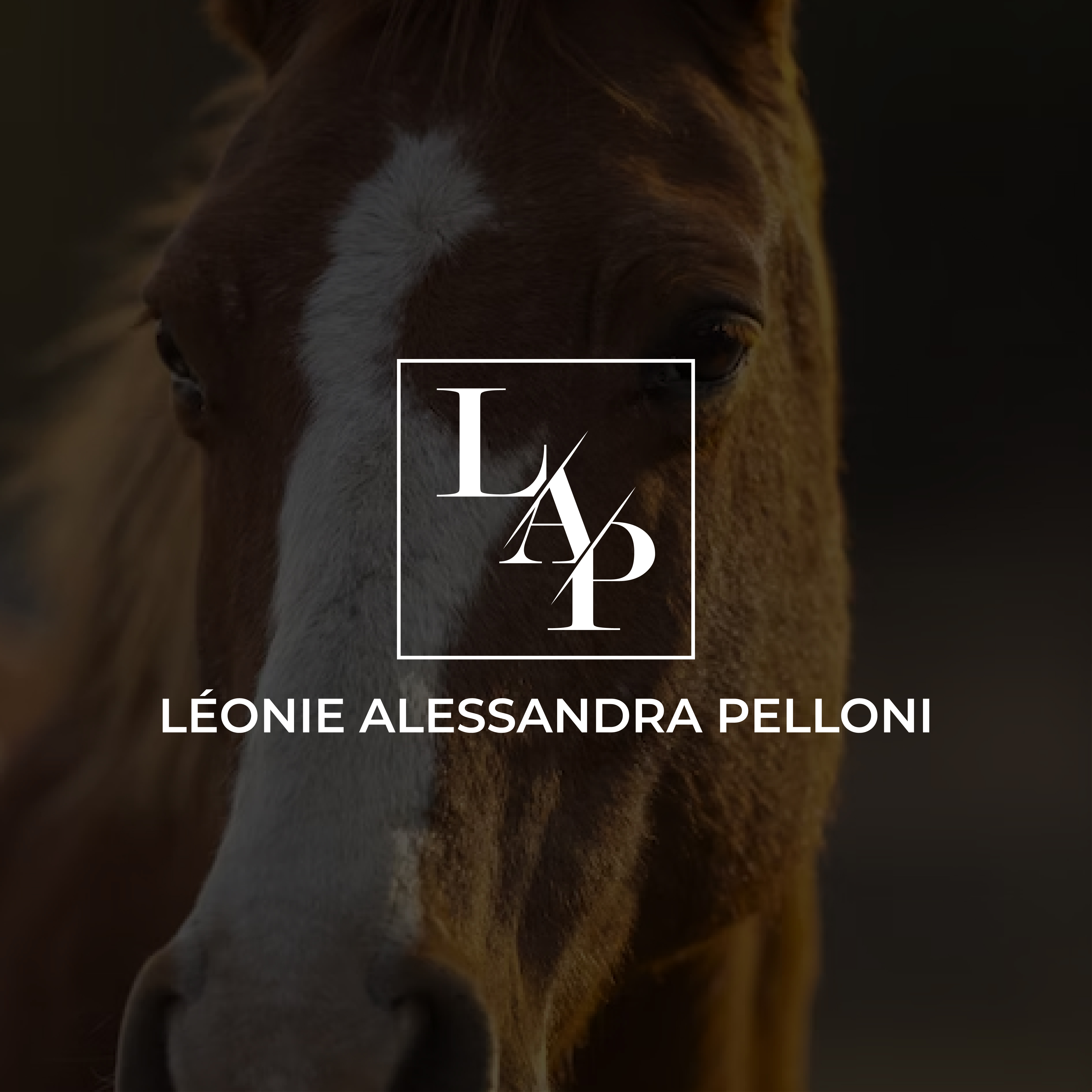 Logo Design by KhushiPatel for this project | Design #31934839