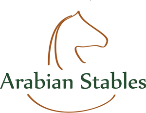Logo Design by bilgib