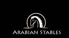 Logo Design by Modine Designs for Arabian Stables | Design: #3099525