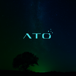Logo Design by merti.studio
