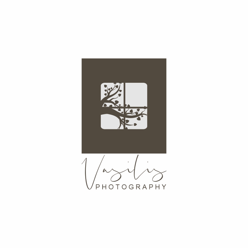 Diseño de Logo por abiyadun para este proyecto | Diseño #31955789