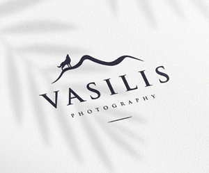 Logo Design by sarahlakhani258