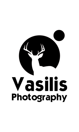 Logo Design by afif19