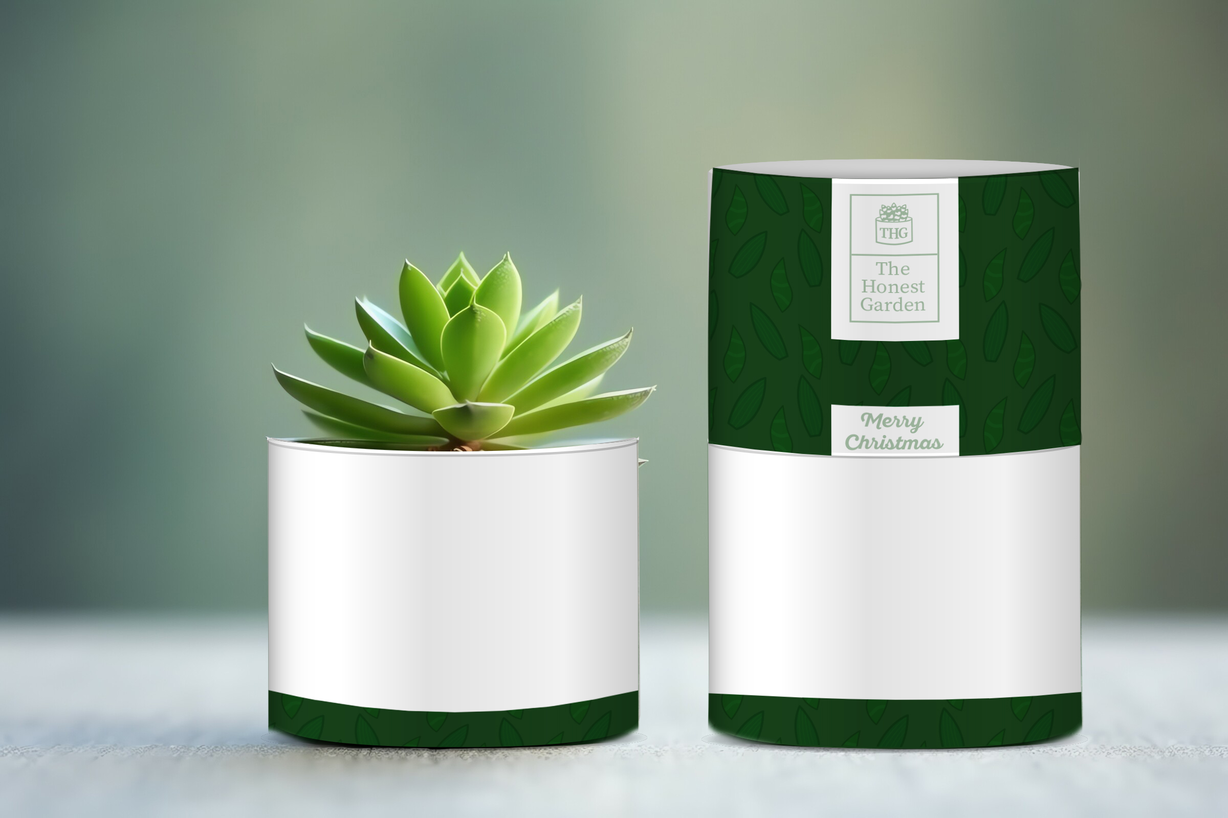 Graphic Design by vanepog for this project | Design #32063612