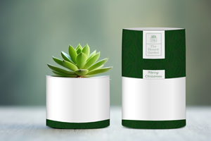 Graphic Design by vanepog for this project | Design: #32063612