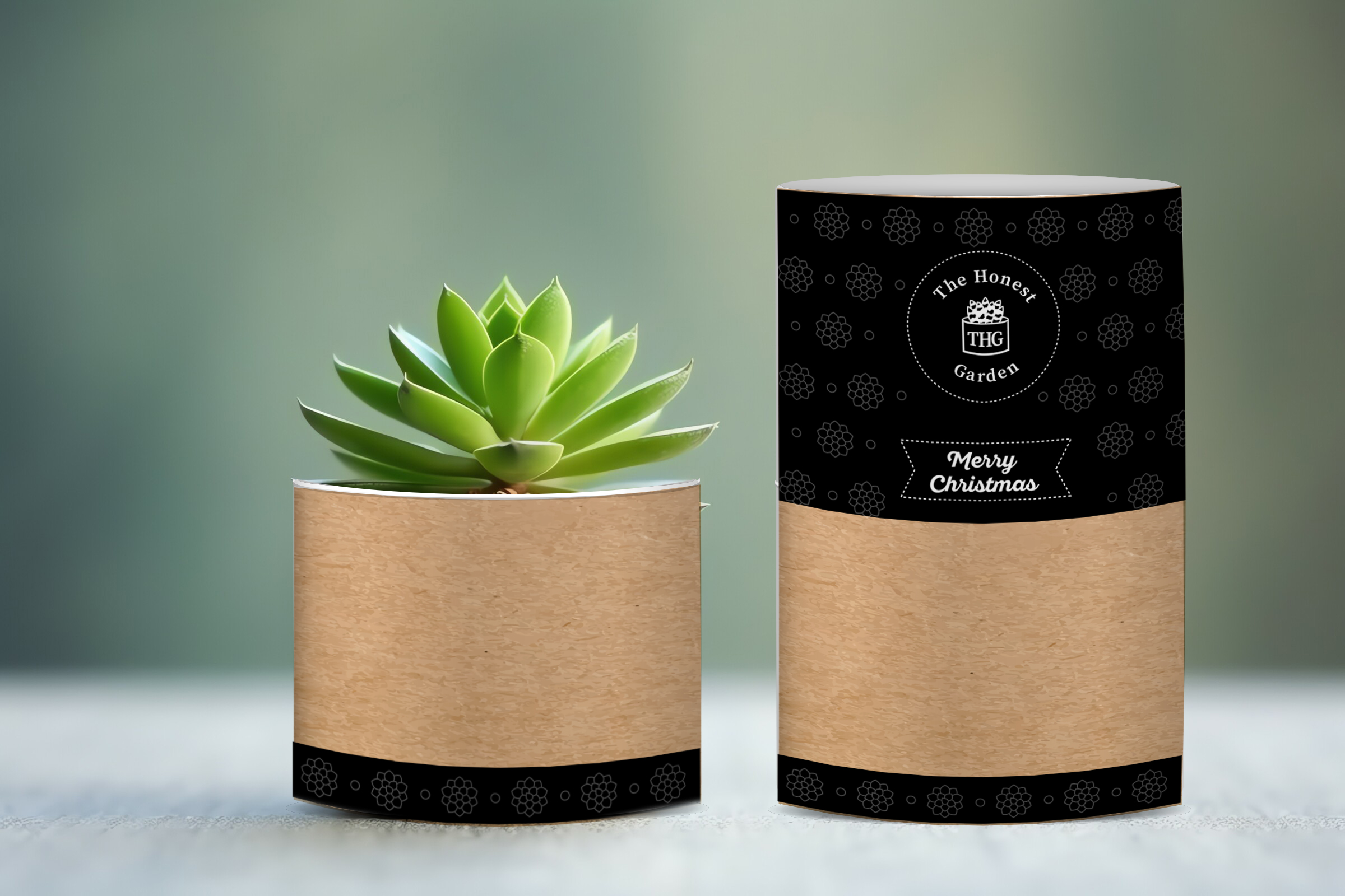 Graphic Design by vanepog for this project | Design #32069581