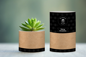 Graphic Design by vanepog for this project | Design: #32069581