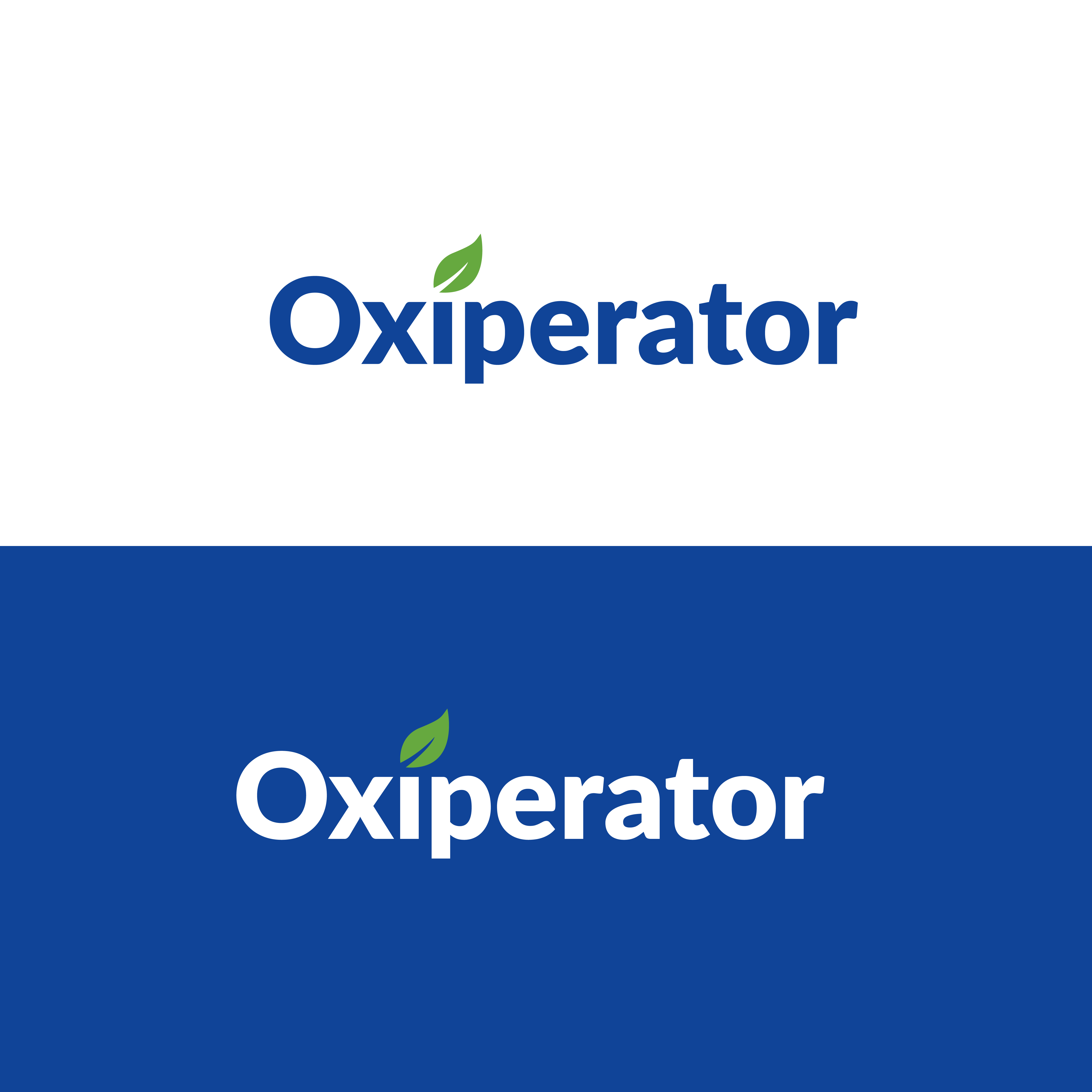 Logo Design by Innovative Graphix for this project | Design #31967660