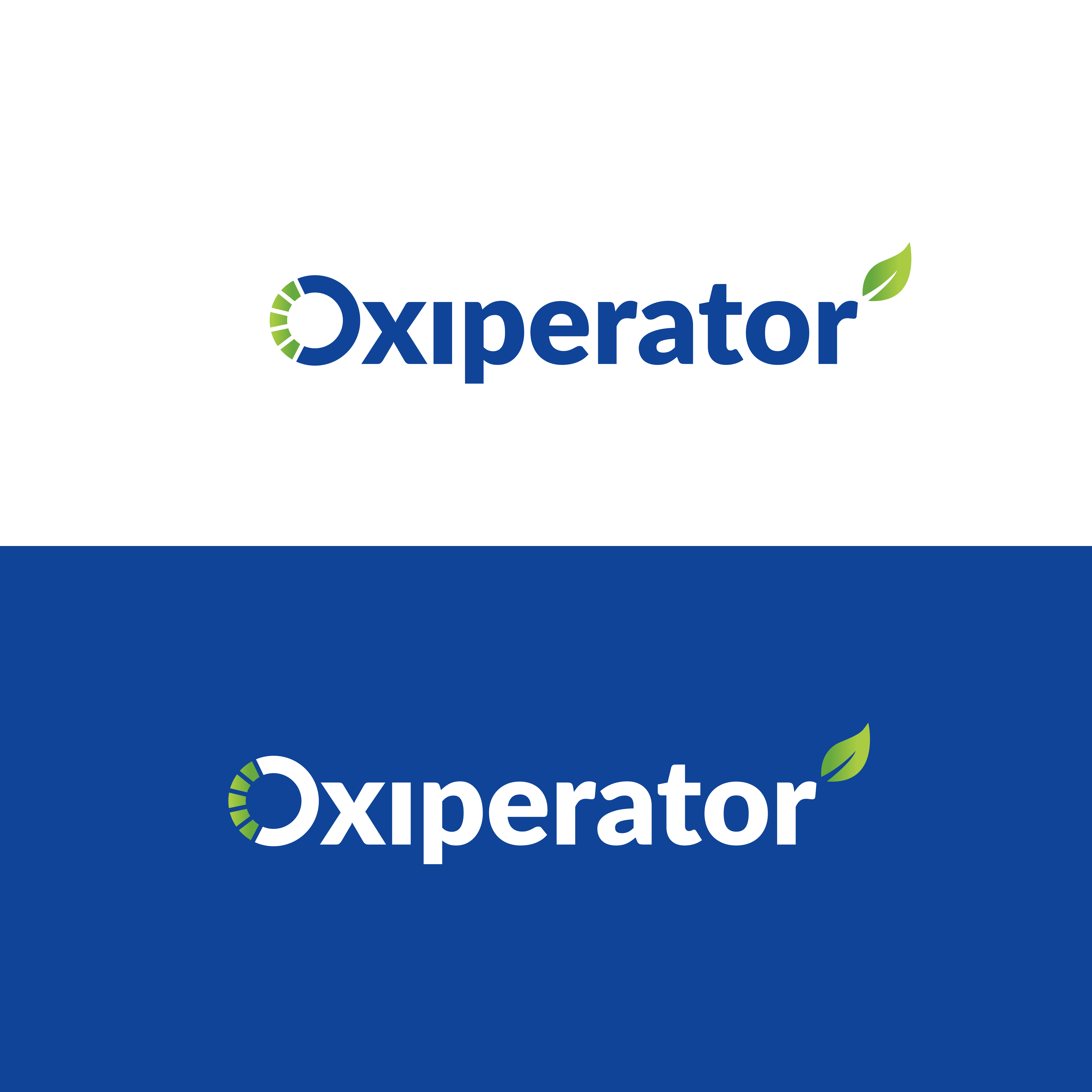 Logo Design by Innovative Graphix for this project | Design #31967733