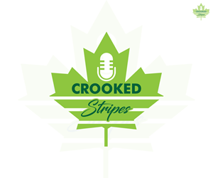 Logo Design by Ansh Design for this project | Design: #32003417