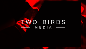Logo Design by zeykan for 2 Birds Media | Design: #31989886