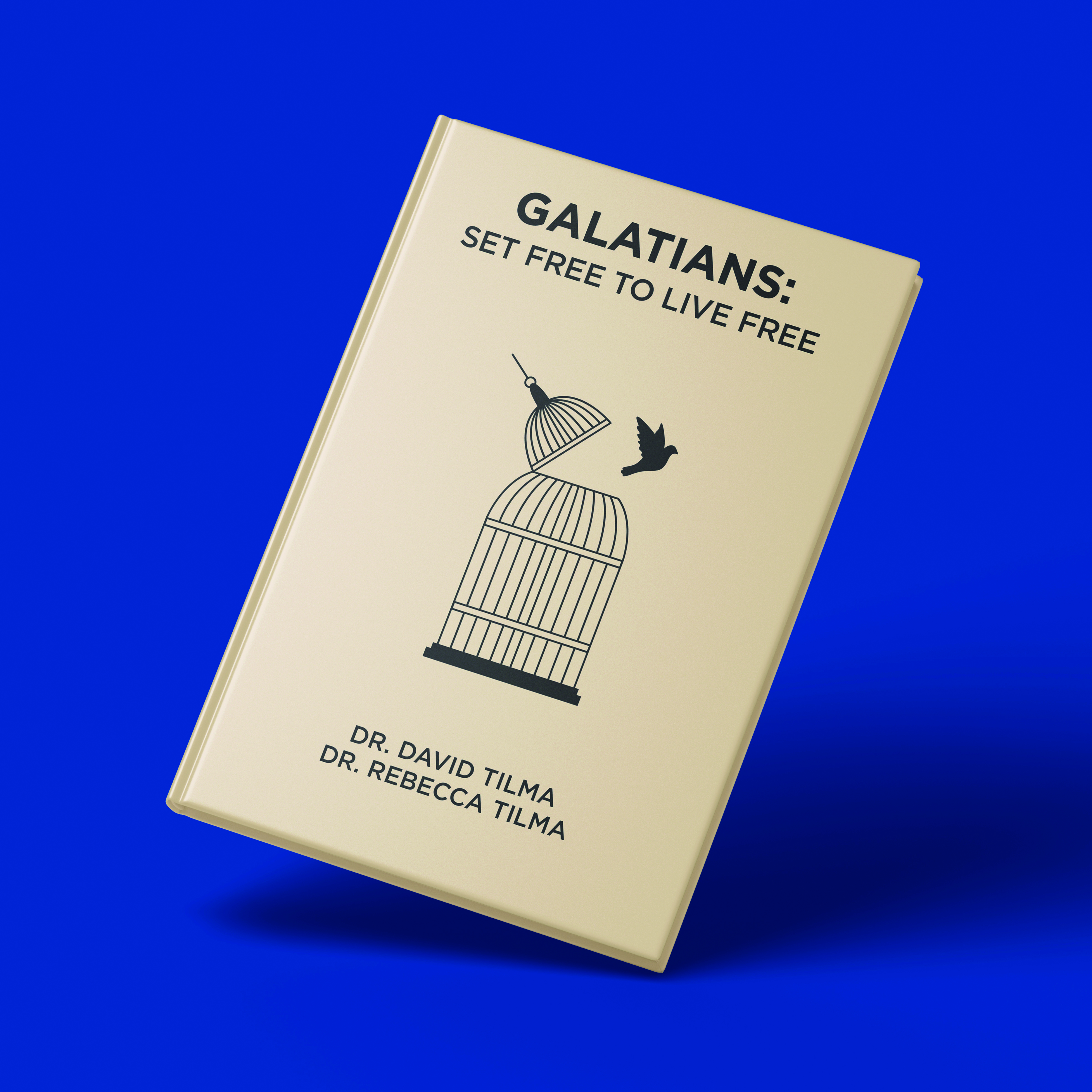 Grafik-Design von ncg1112 für Blackhawk Ministries | Design #31991884