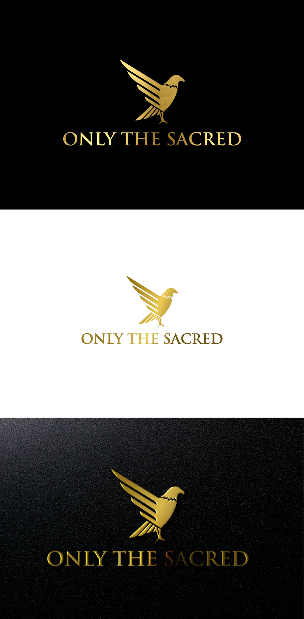 Logo Design by DesignVerse777 for this project | Design #31998385