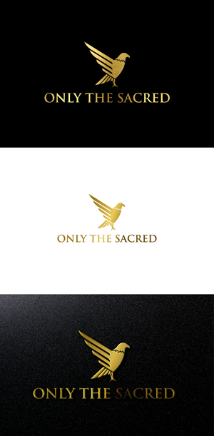 Logo Design by DesignVerse777 for this project | Design: #31998385