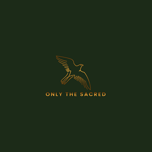 Logo Design by fly  design for this project | Design: #31981144
