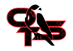 Logo Design by reddmac