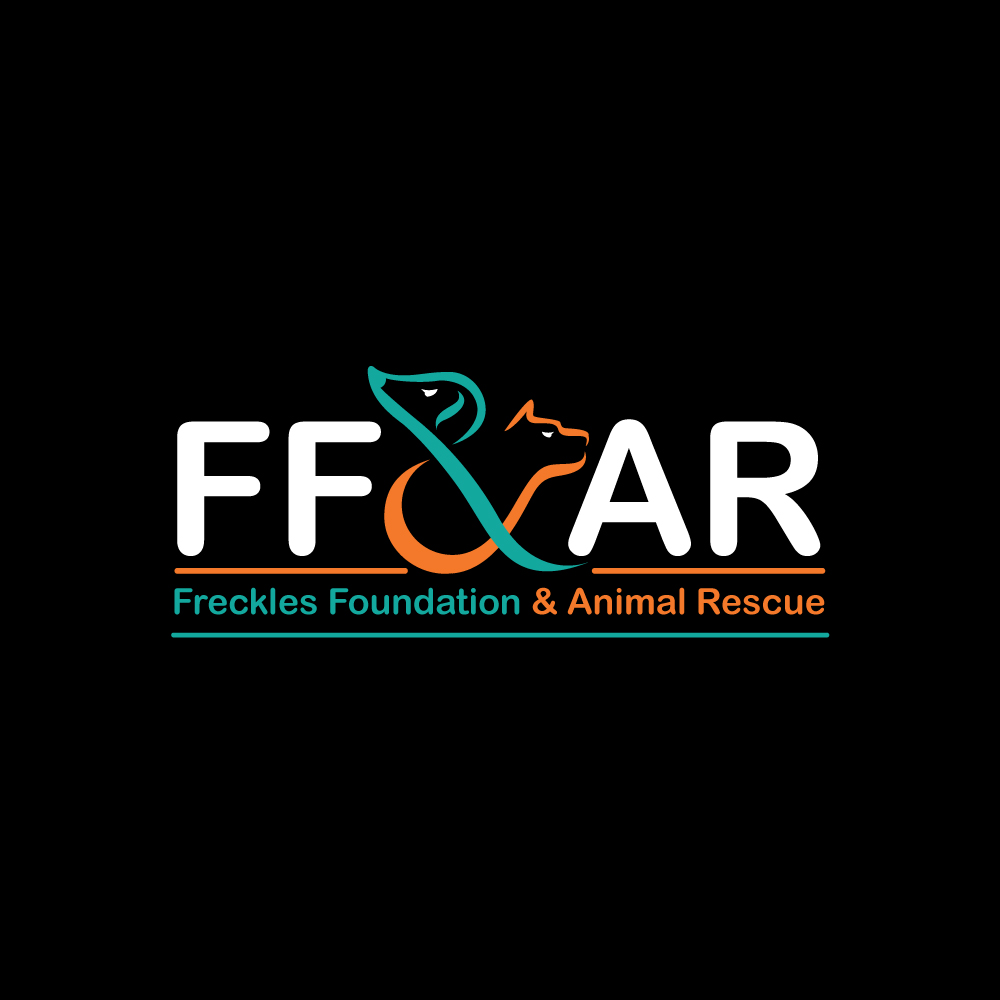 Logo Design by Krold IT Solutions for this project | Design #32004094