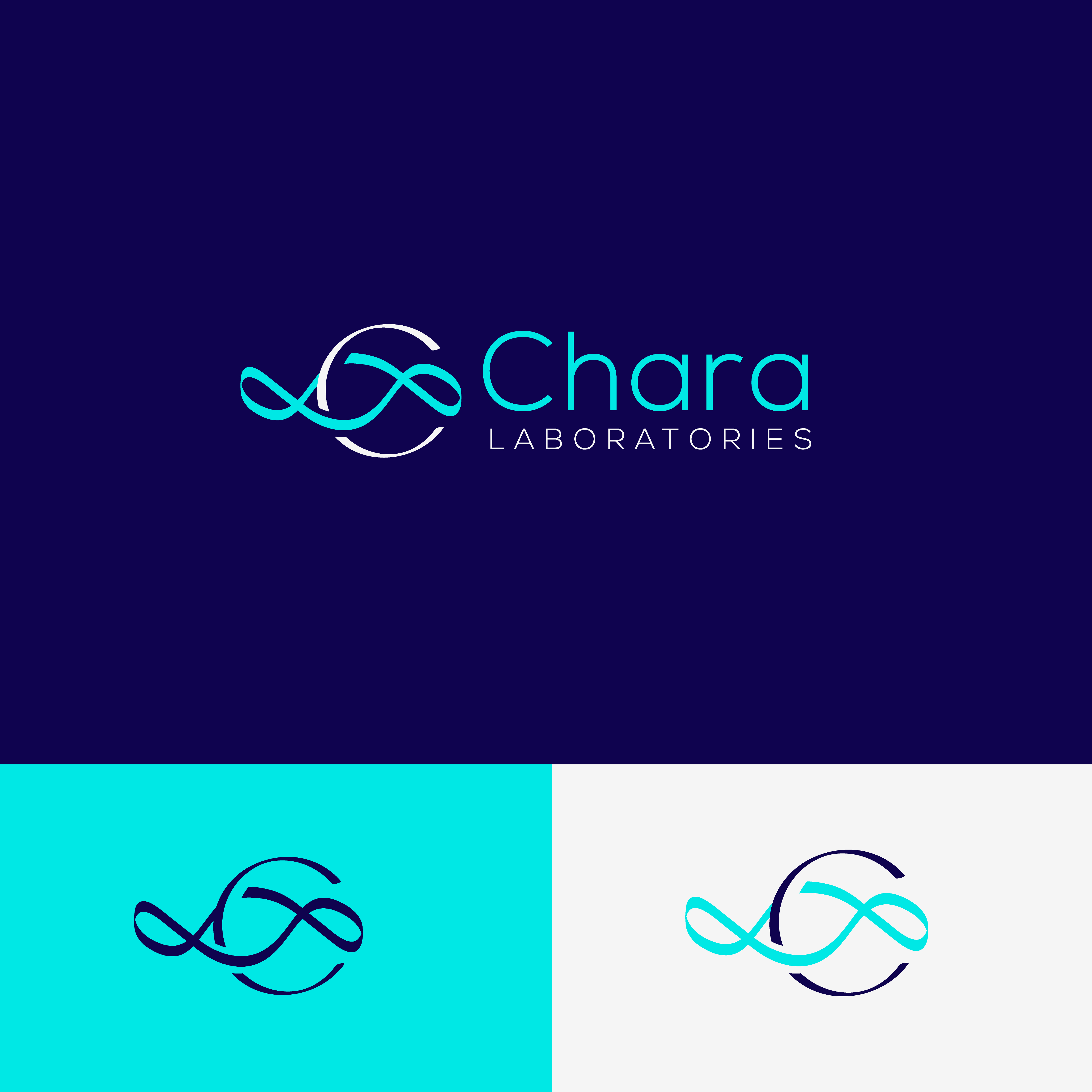 Diseño de Logo por UMA 7 para este proyecto | Diseño #32017704