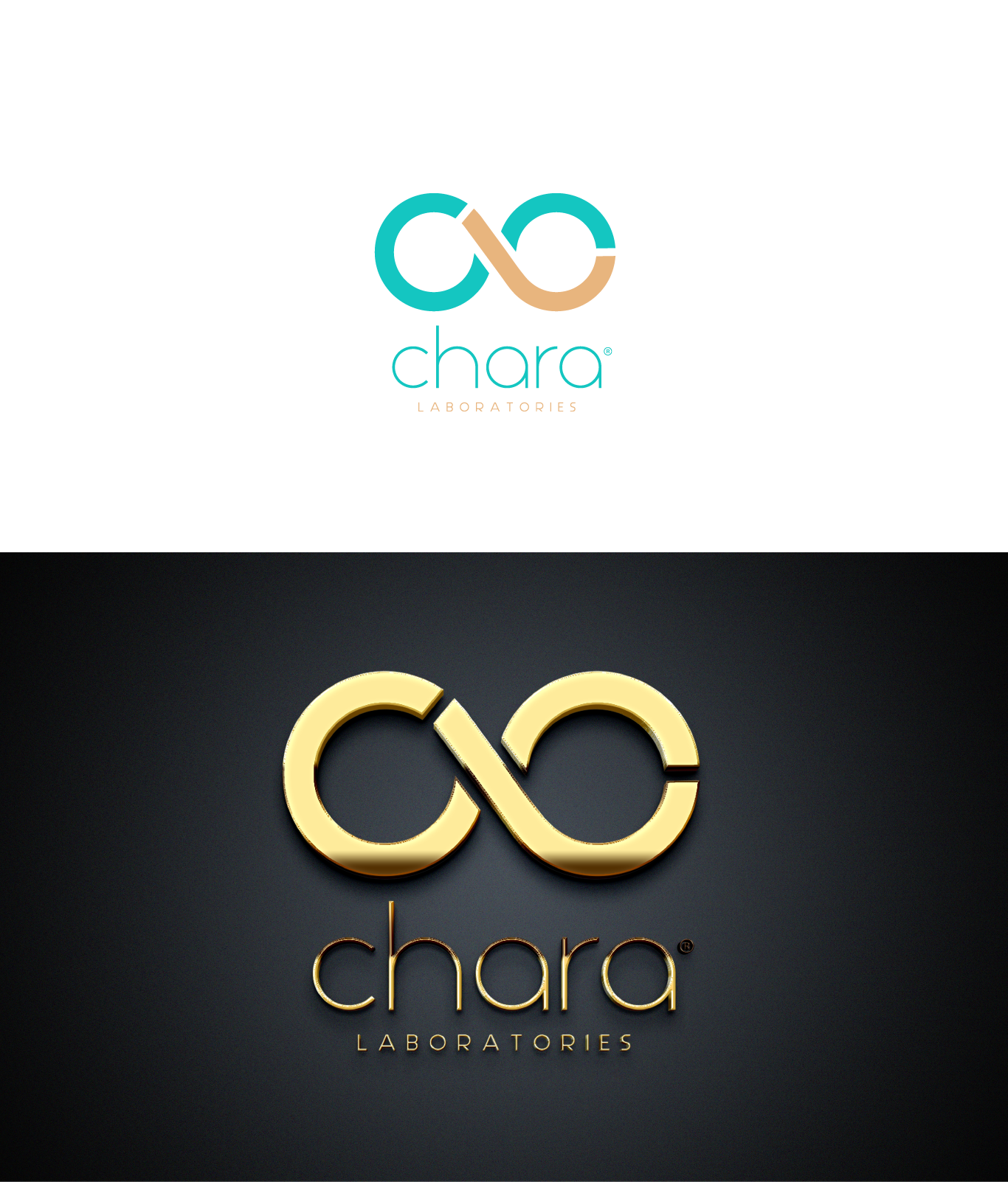 Diseño de Logo por graphicawy para este proyecto | Diseño #31993635