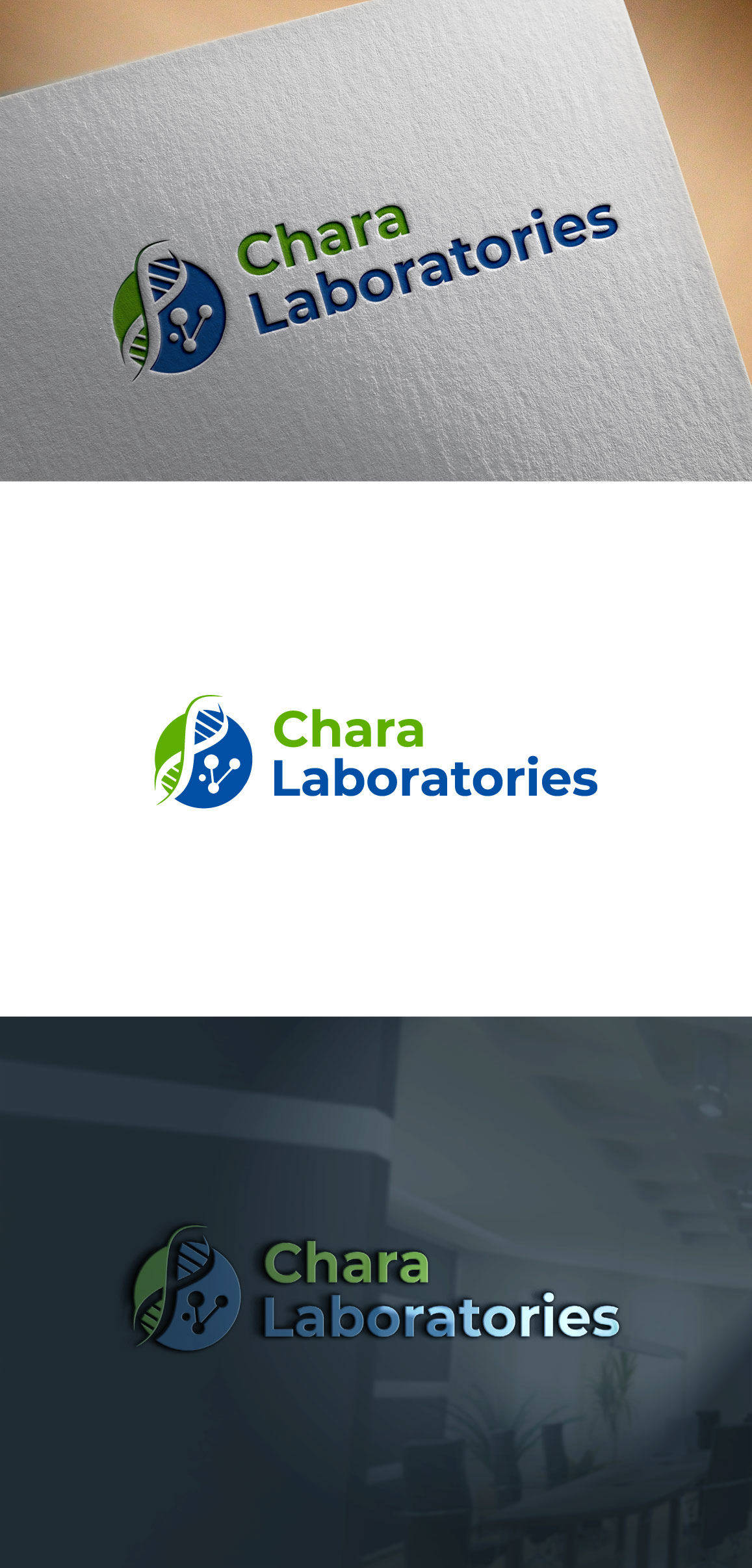 Logo Design by DesignVerse777 for this project | Design #31992859