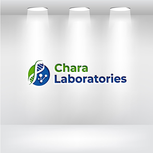 Logo Design by DesignVerse777 for this project | Design: #31992860