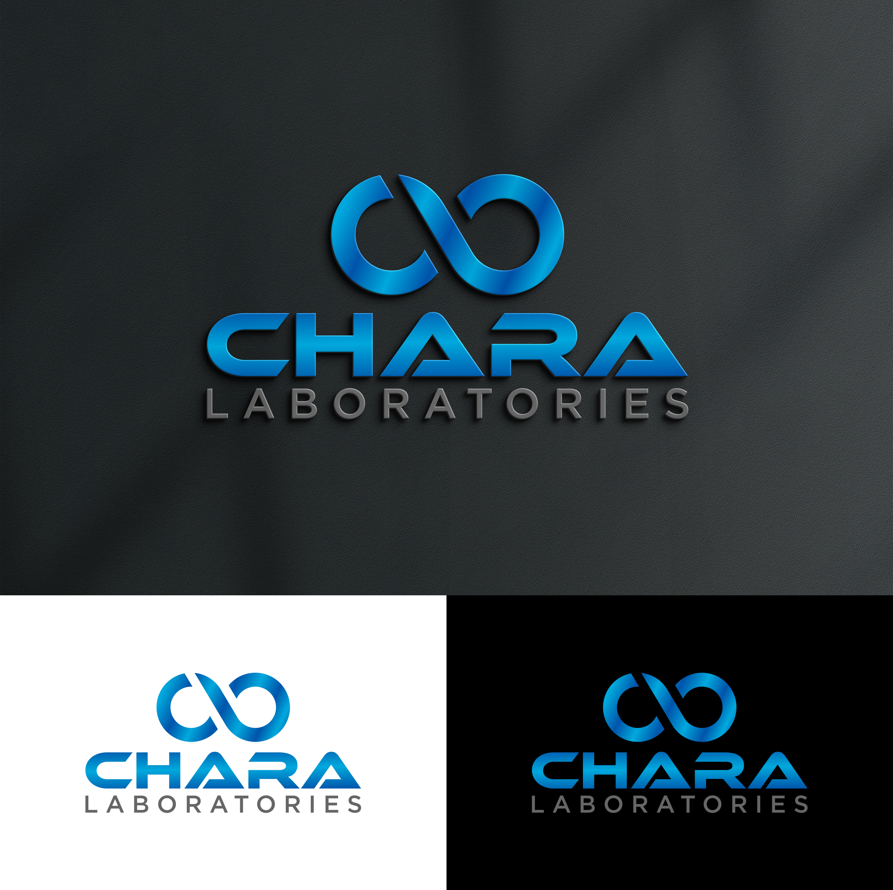 Logo Design by loveqis for this project | Design #31995659