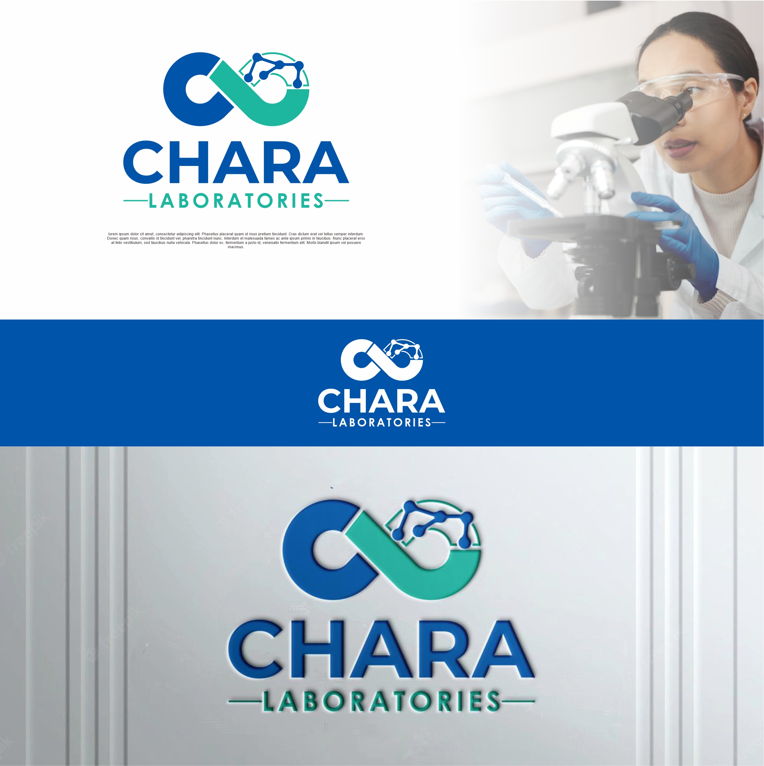 Diseño de Logo por MIRZA Design para este proyecto | Diseño #32030548