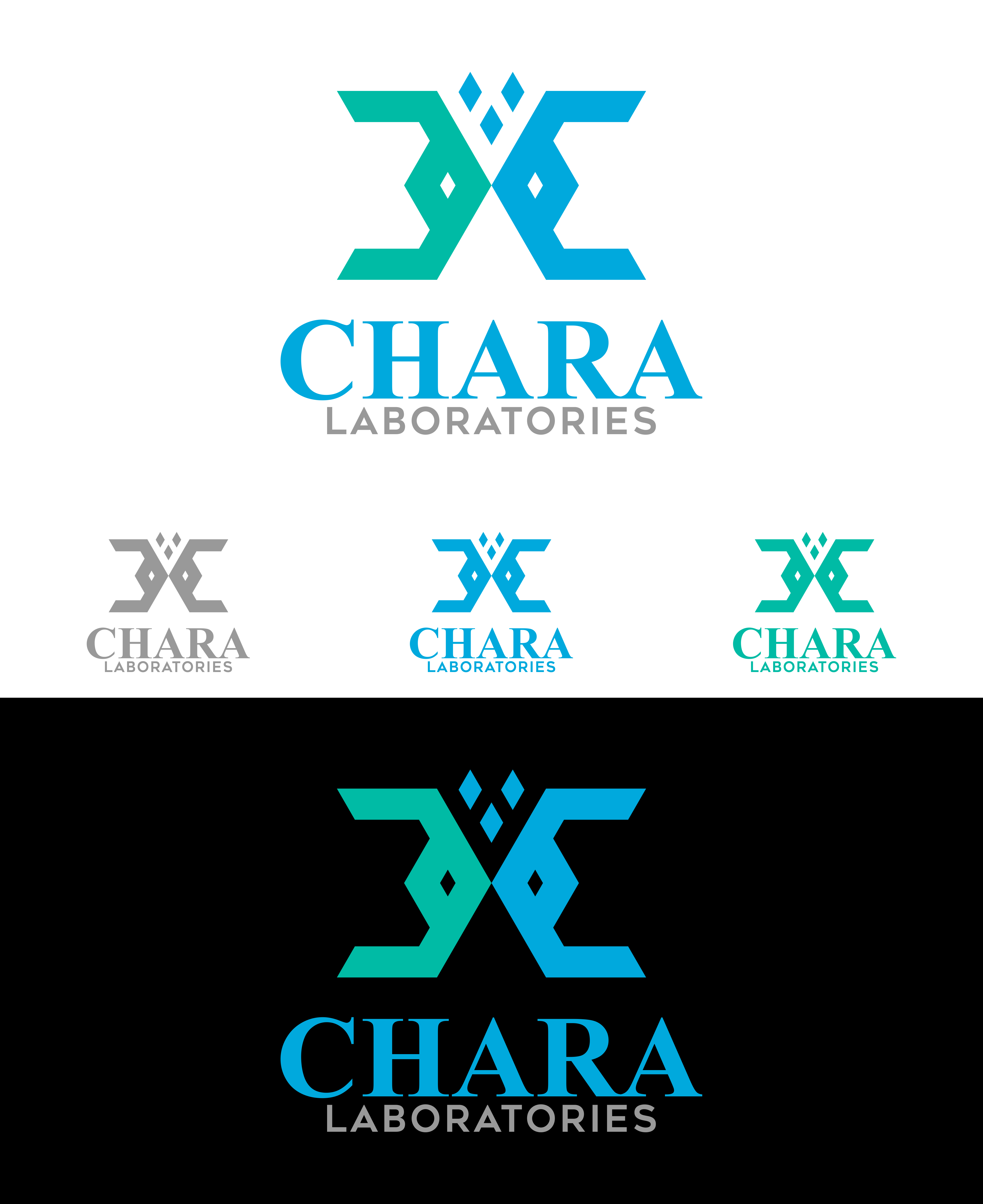 Logo Design by Afika_YN for this project | Design #32010697