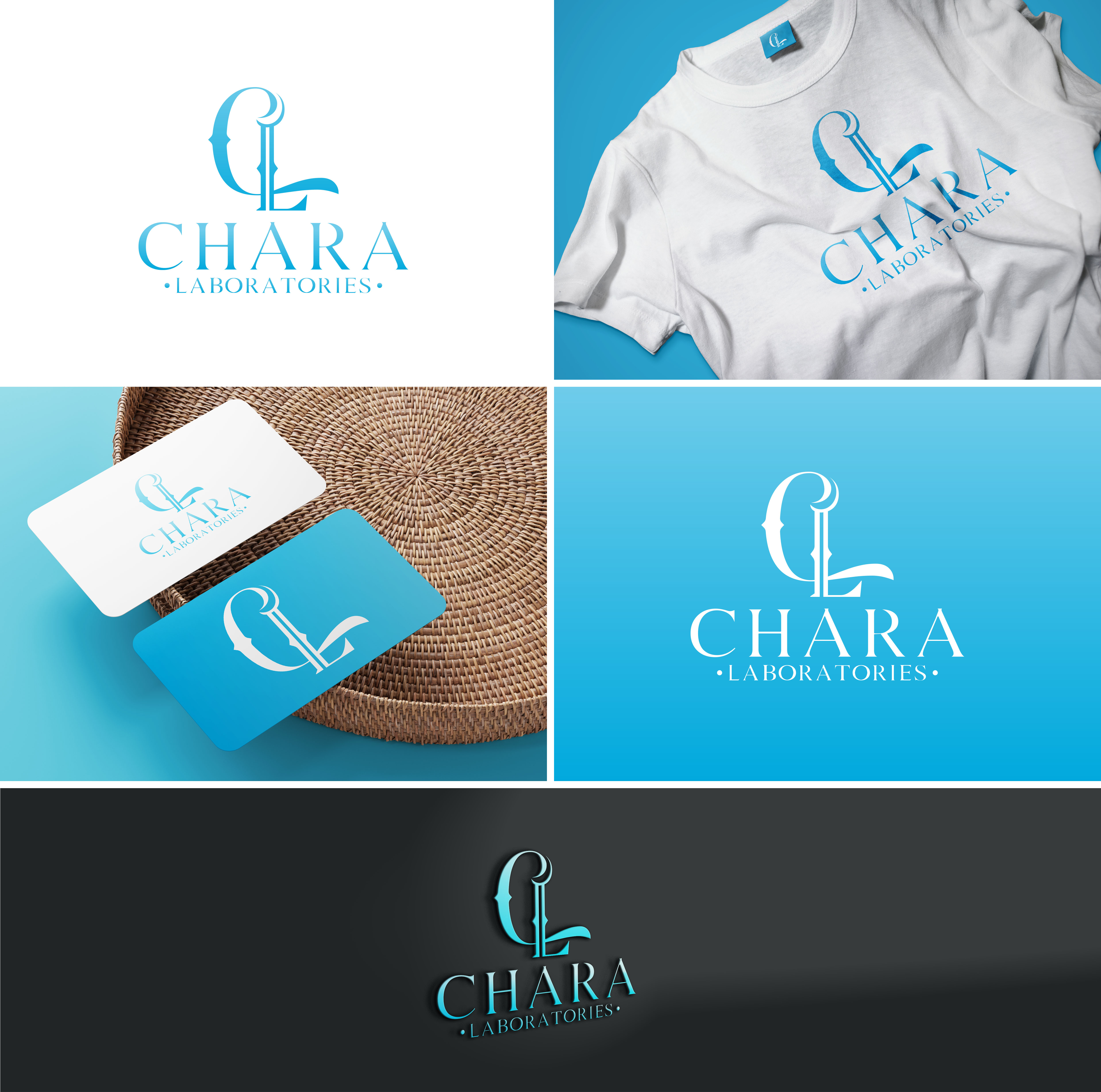 Logo Design by aexoagency for this project | Design #31991235