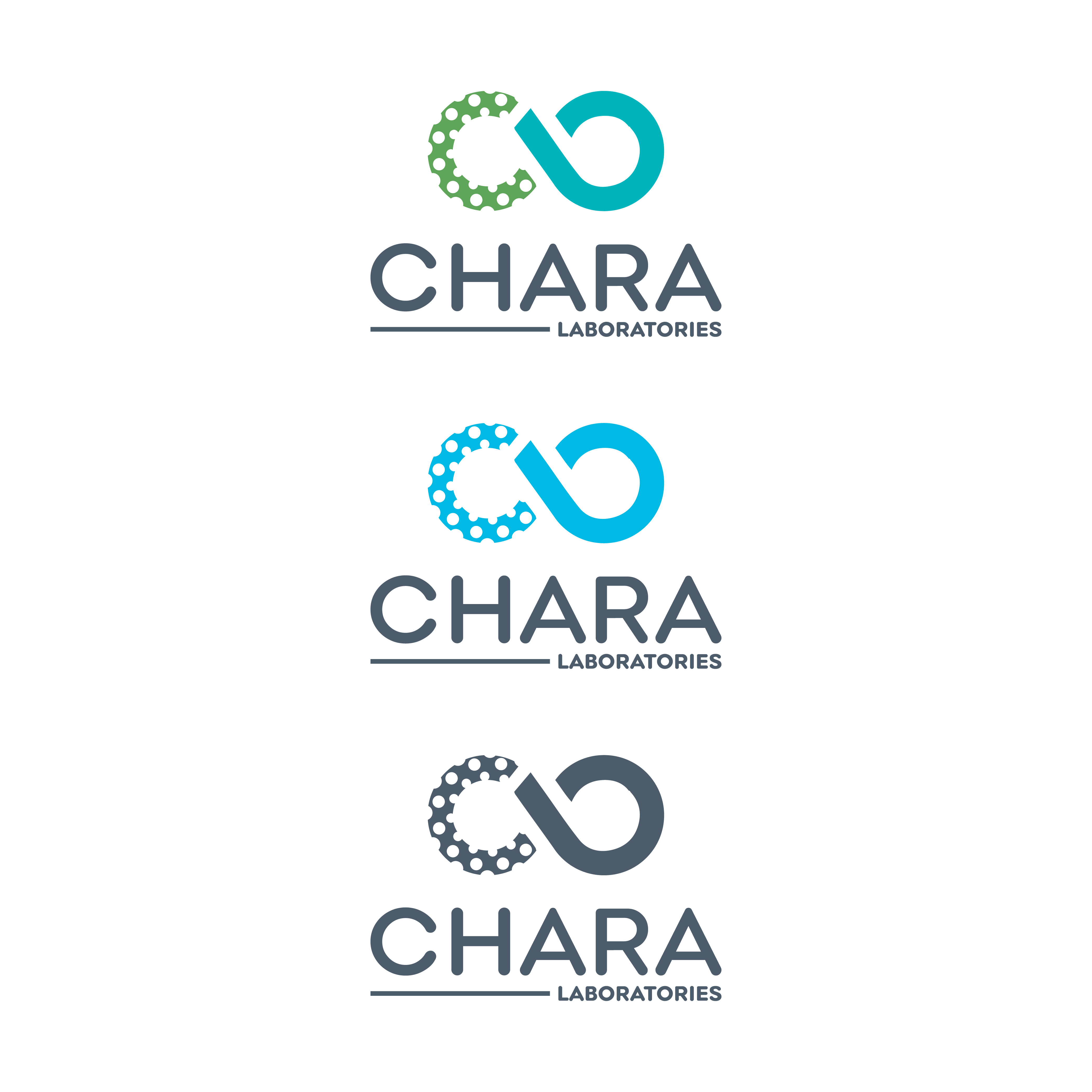 Logo Design by designprotox for this project | Design #32025046