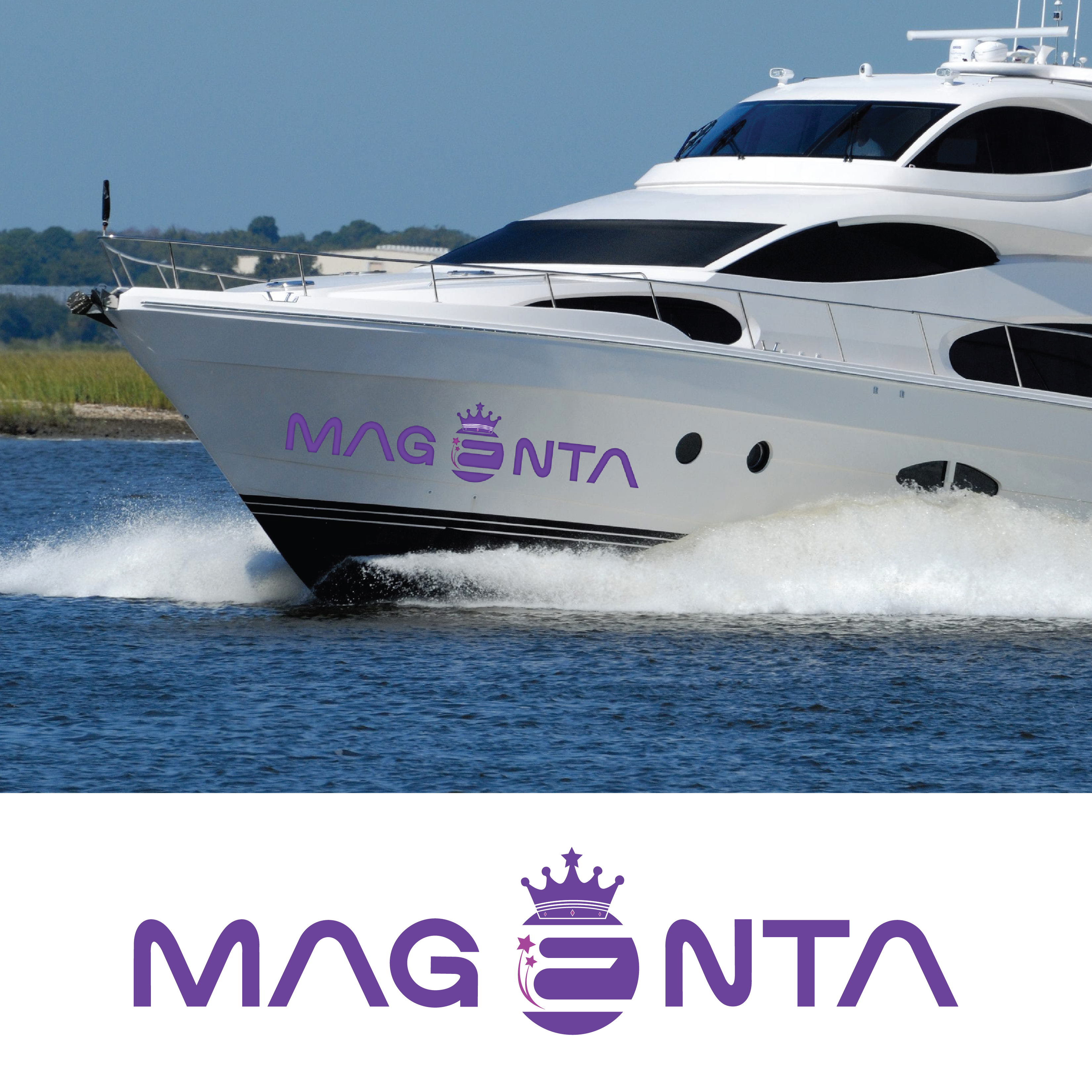 Diseño de Logo por Max Studio Designs para este proyecto | Diseño #32028799