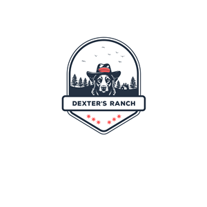 Design de Logo par kamel graphic pour ce projet | Design : #32005267