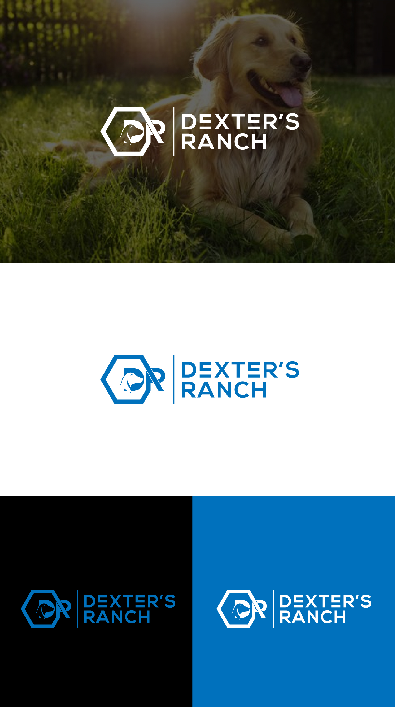 Logo Design by 100%design for this project | Design #32002783