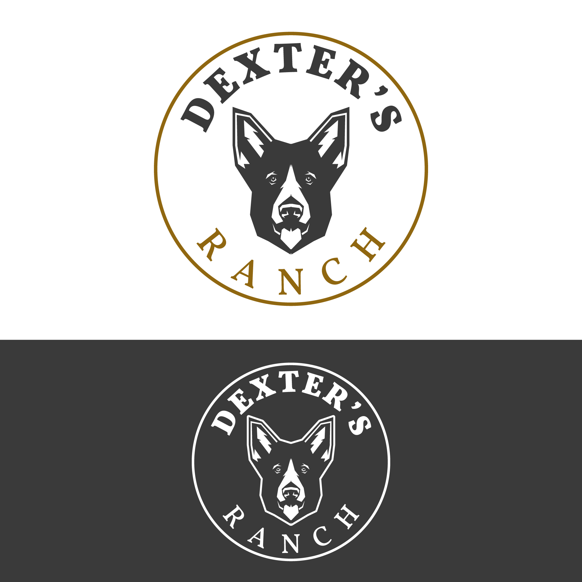 Logo-Design von Di3goAngelo für dieses Projekt | Design #32040867