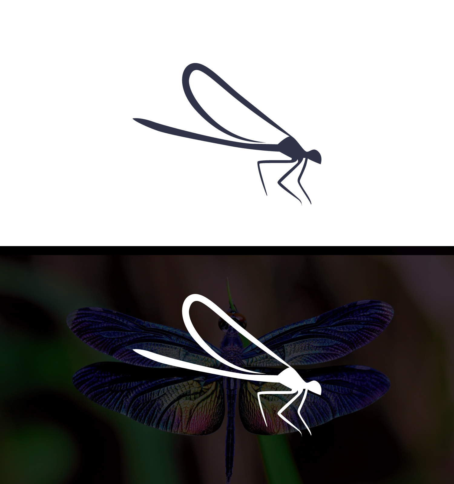 Logo Design by Logo bud design for this project | Design #32003858