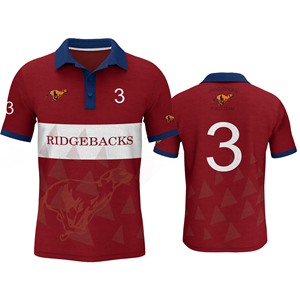 Team shirts and apparel for polo team