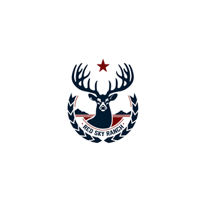Logo Design by kamel graphic