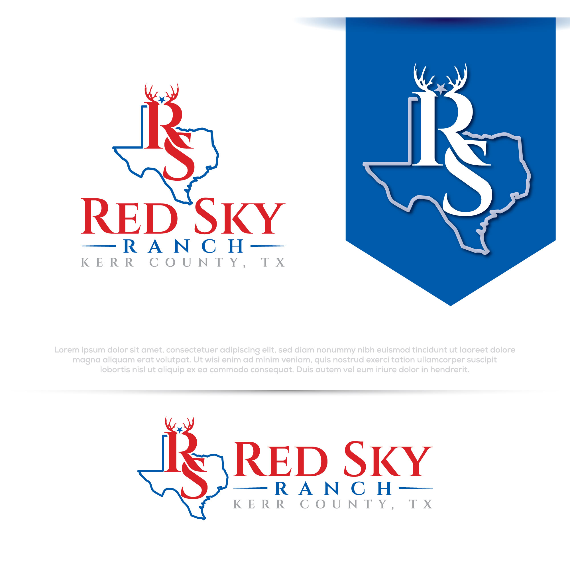 Diseño de Logo por Pilot_DesignR™ para este proyecto | Diseño #32008308