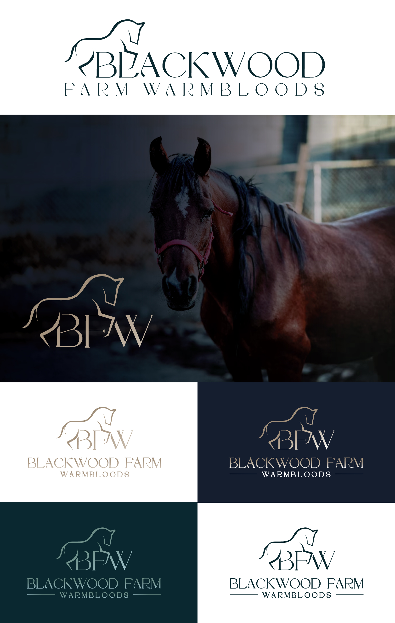 Logo-Design von StromDesignHub für dieses Projekt | Design #32010776