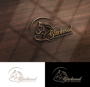 Logo Design by StromDesignHub for this project | Design: #32017034