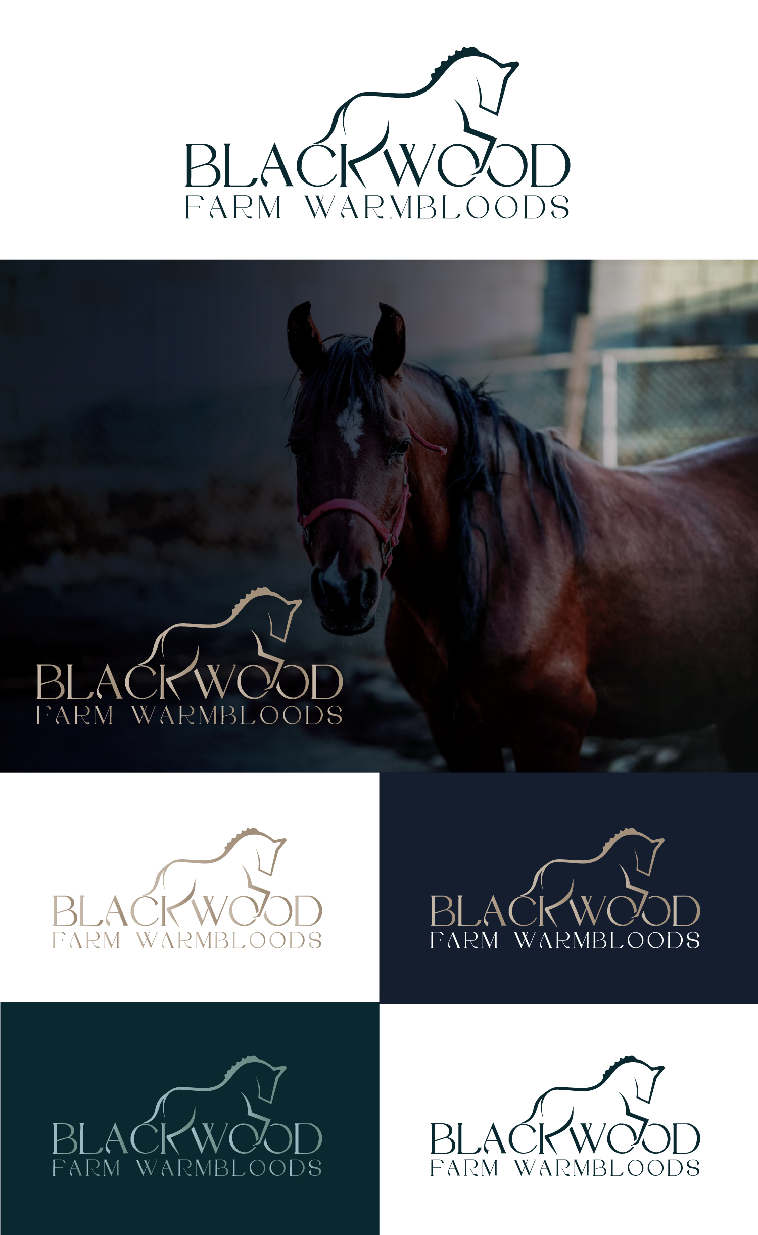 Logo Design by StromDesignHub for this project | Design #32030346