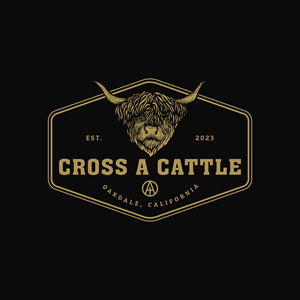 Logo Design by Illustratiko