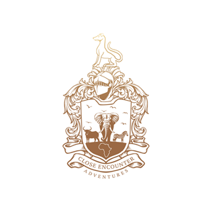Logo Design by kamel graphic for this project | Design: #32029835
