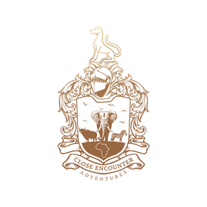 Logo Design by kamel graphic for this project | Design: #32030204