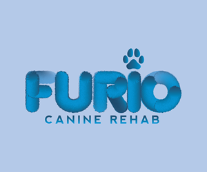 Logo Design by sk create
