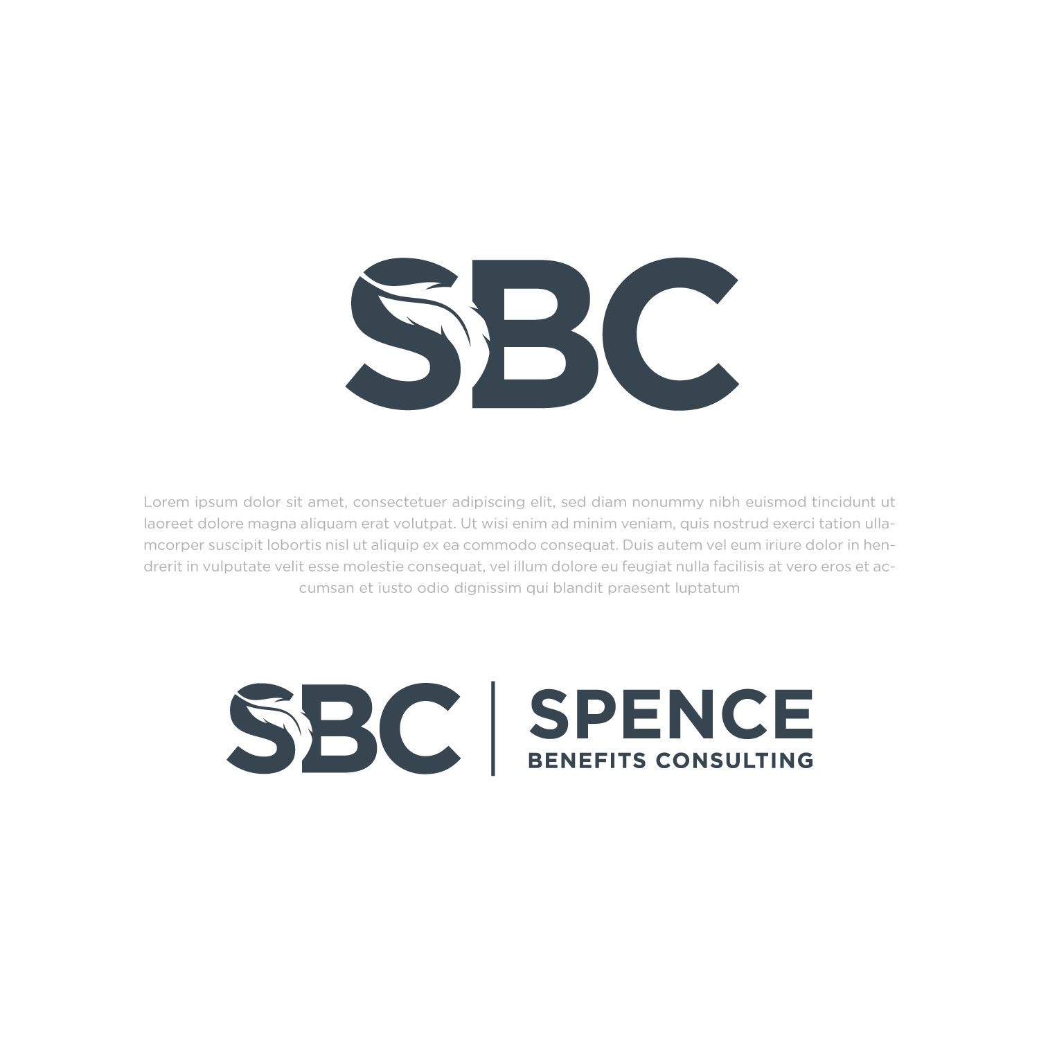 Logo Design by Abdul 20 for this project | Design #32036815
