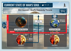 Infographic Design by Sazal