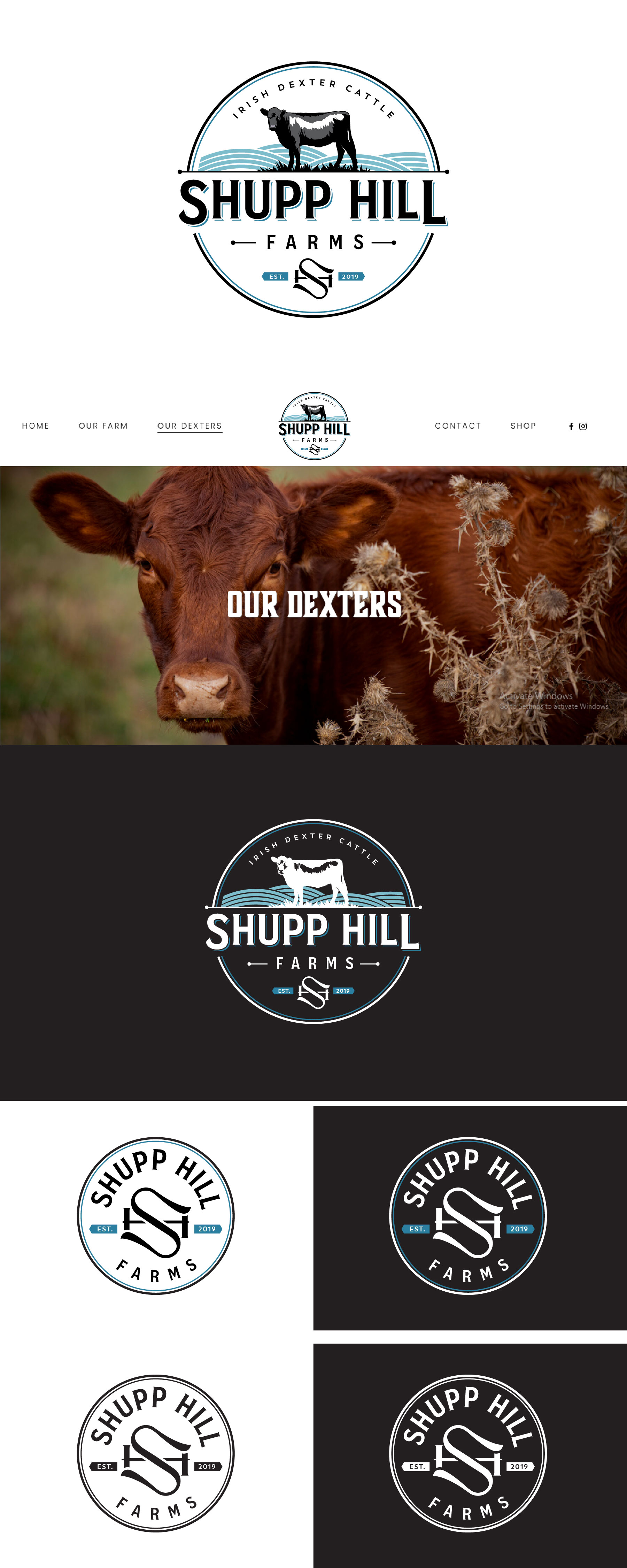 Logo Design by Idea Master Plus for this project | Design #32064994