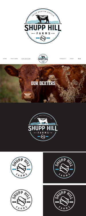 Logo Design by Idea Master Plus for this project | Design #32064994