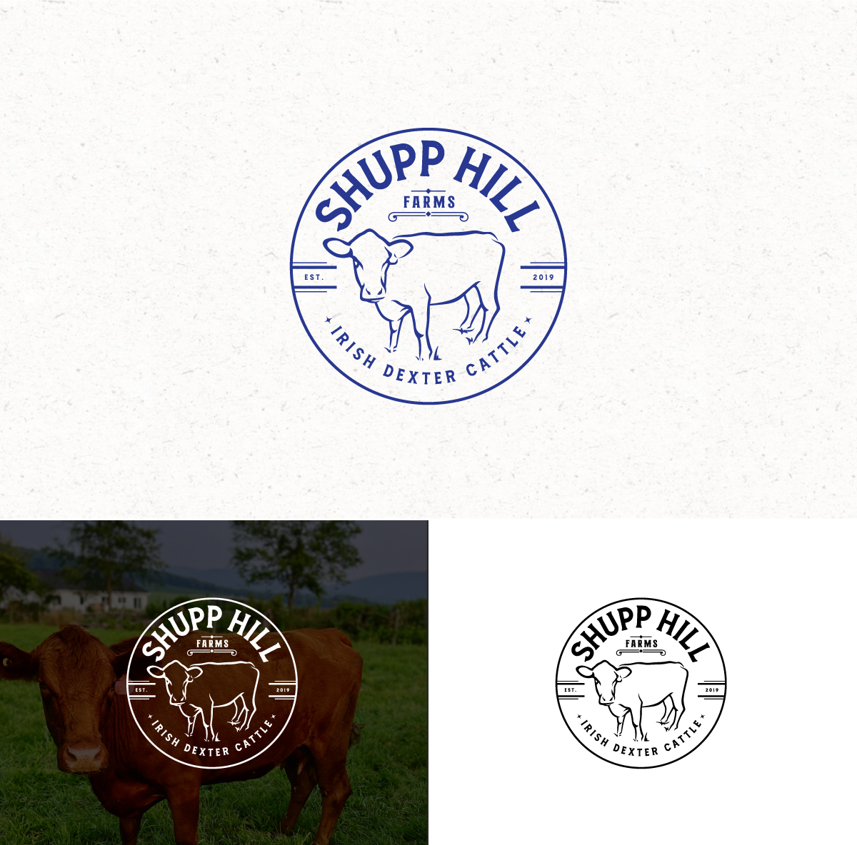 Design de Logo par Logo Stock pour ce projet | Design #32070694